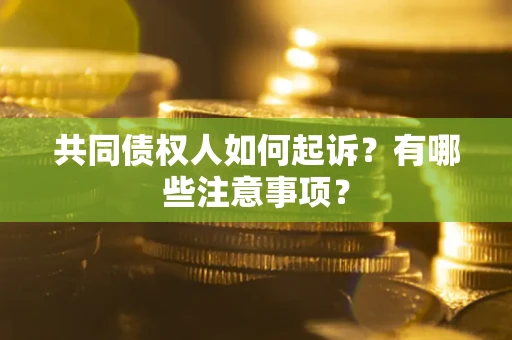 北京共同债权人如何起诉？有哪些注意事项？